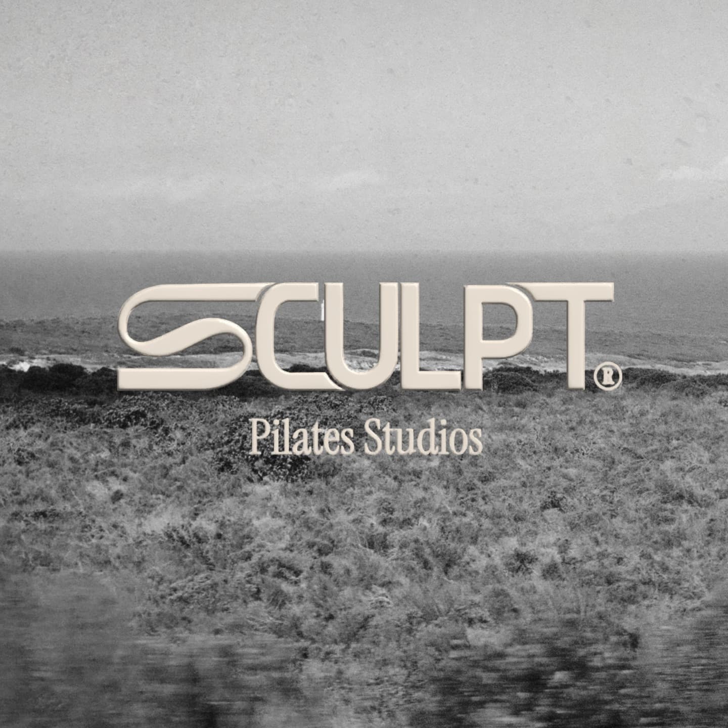 Sculpt Classes